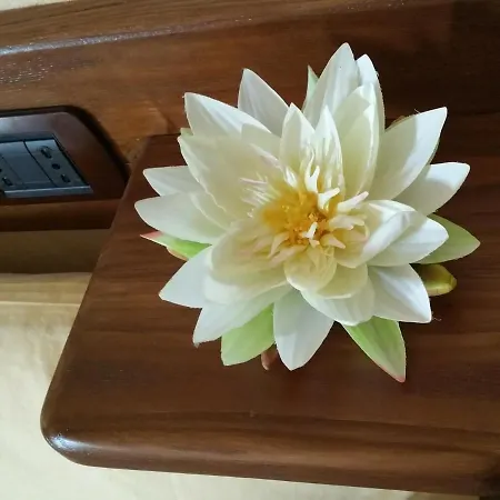 Civita Nova 바뇨레조