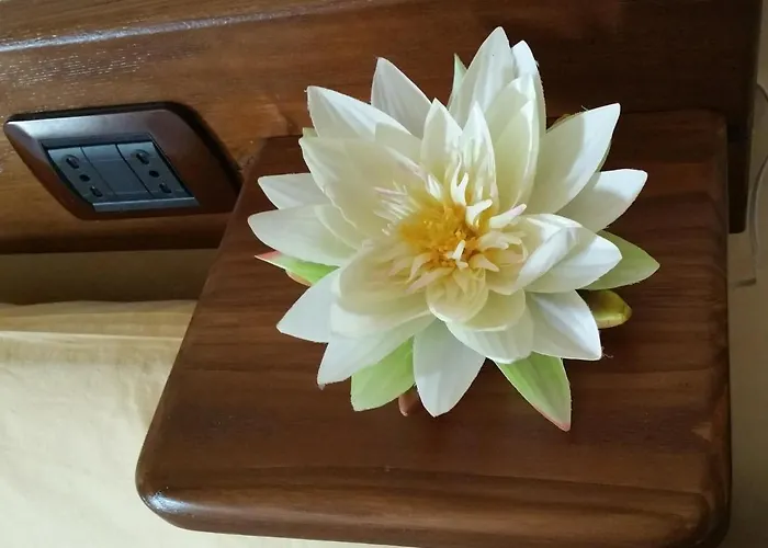 Civita Nova Bagnoregio